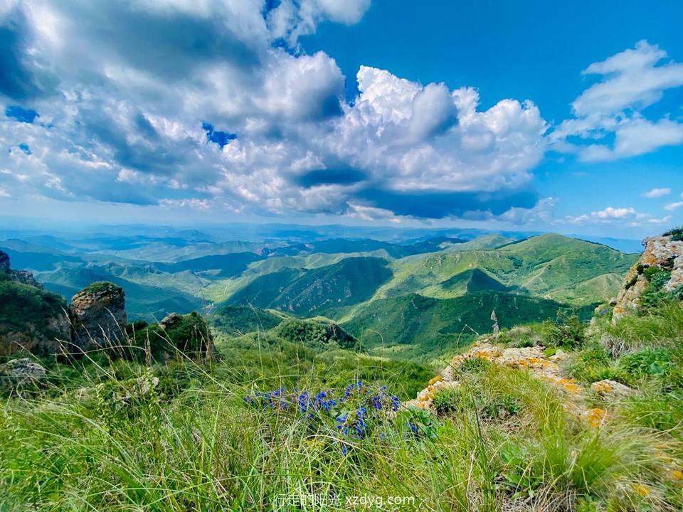 mmexport1691836008157_edit_691986160024097