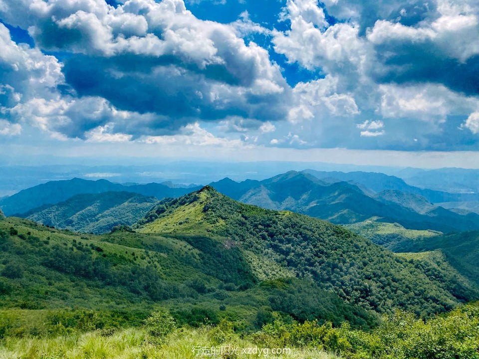 mmexport1691836029600_edit_691978526308473