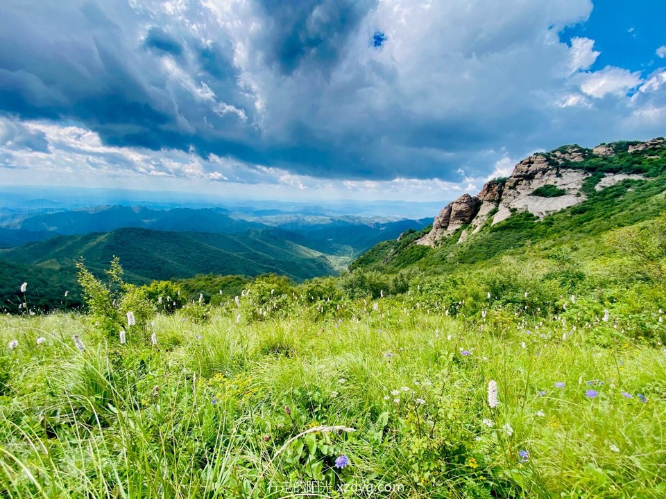 mmexport1691836052769_edit_691970417612641