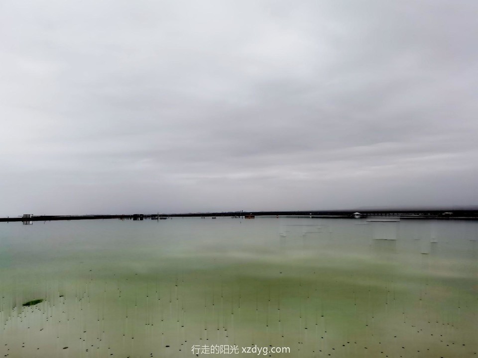 IMG_20230818_141507_edit_941240257576689