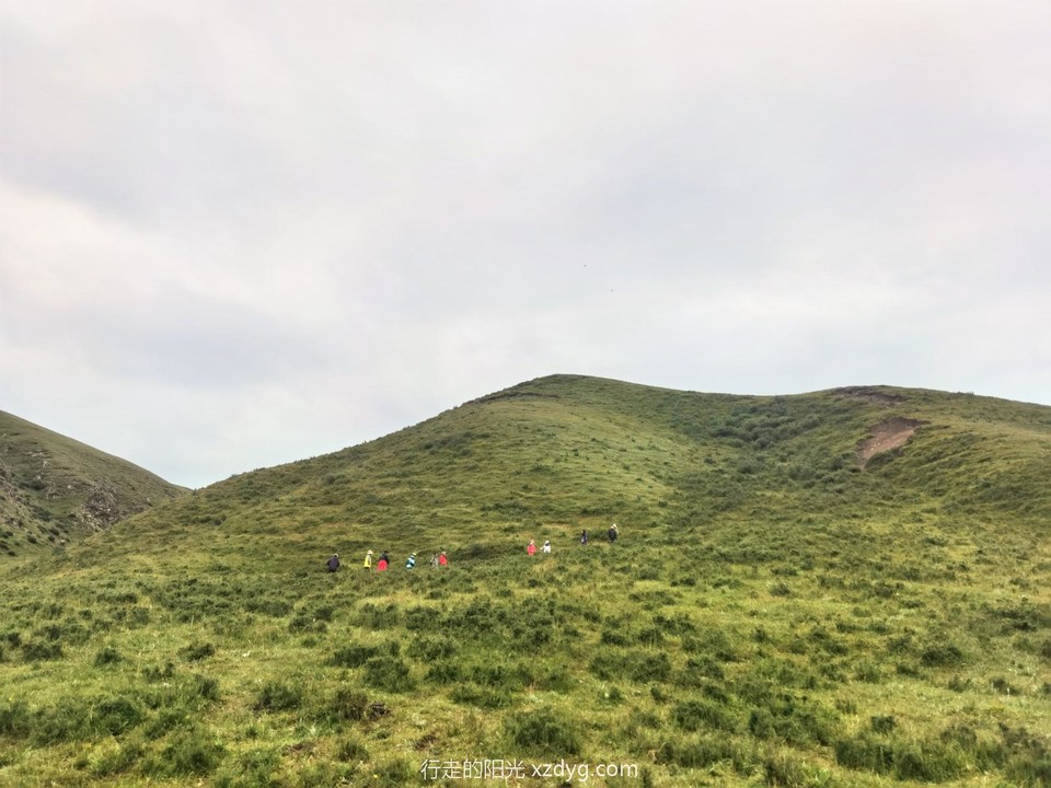 IMG_20230819_095729_edit_993057126994824