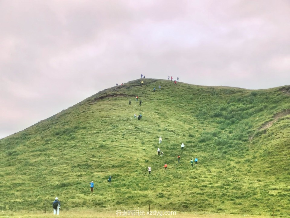 IMG_20230819_100853_edit_977163971362353