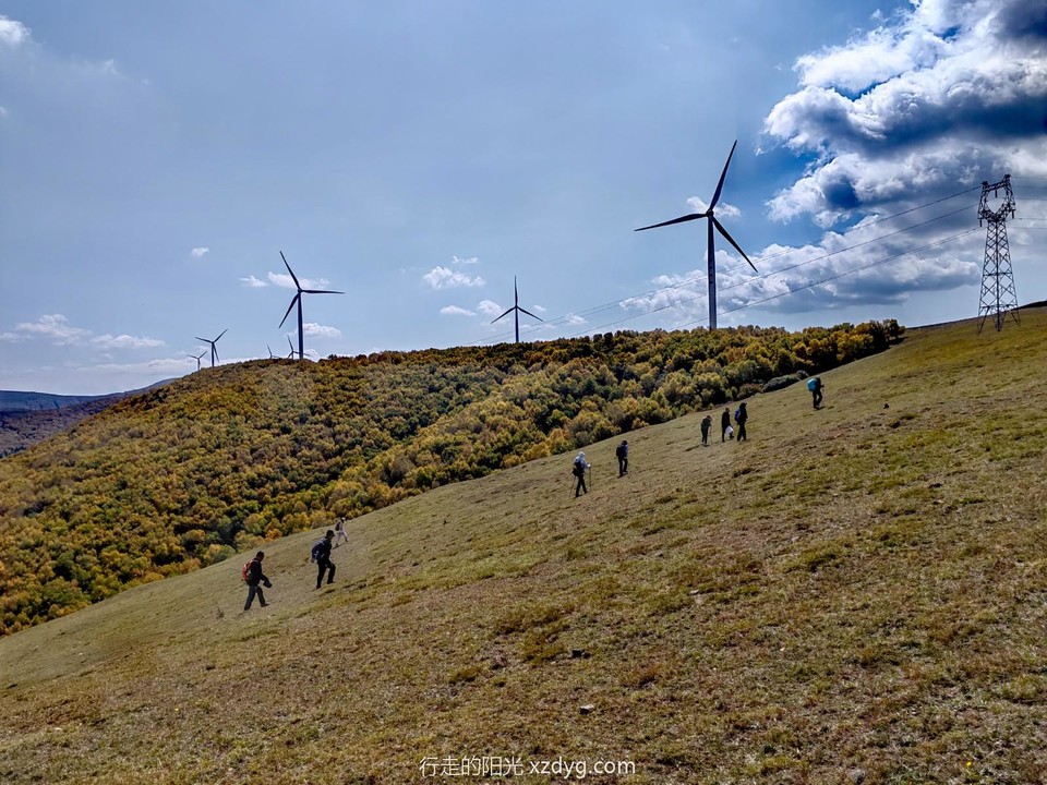 mmexport1695546276499_edit_112086583532375