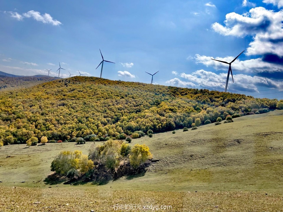 mmexport1695546077332_edit_113029382228065