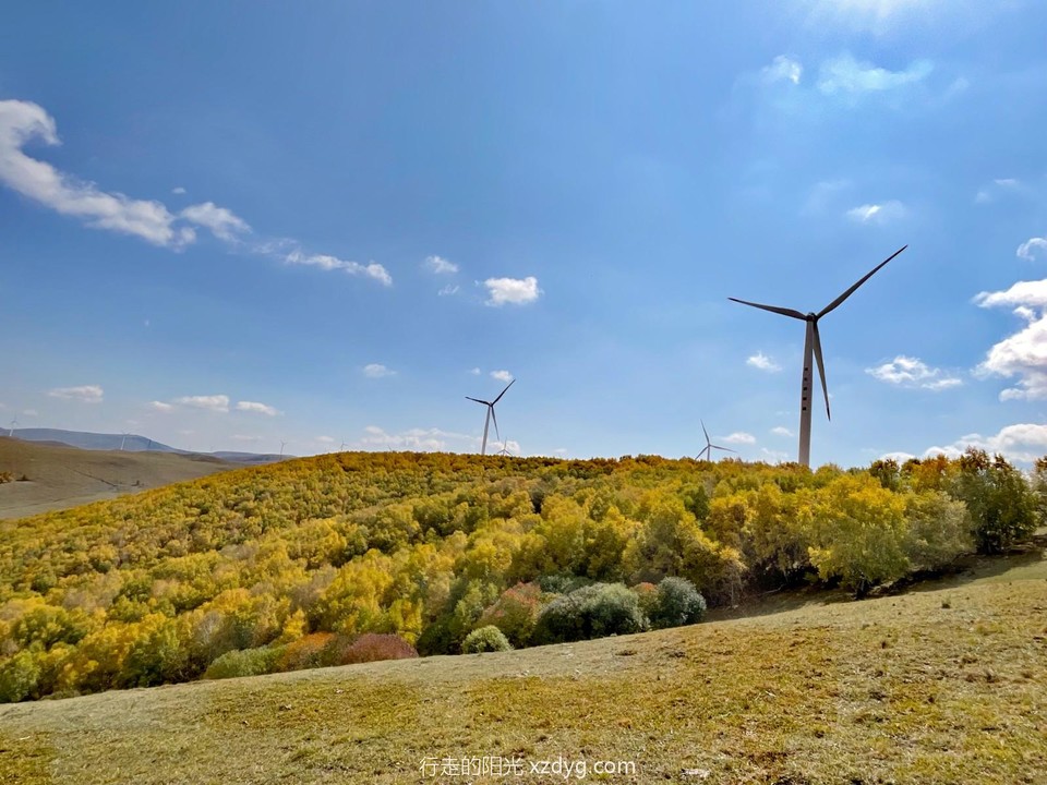 mmexport1695546061070_edit_113046016861917