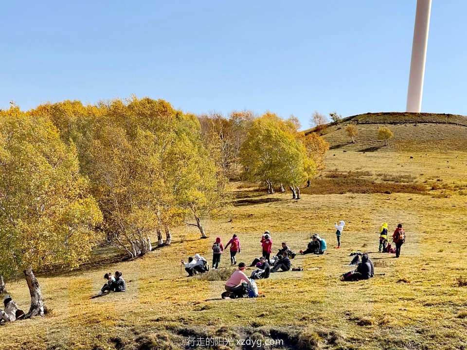 mmexport1695545996857_edit_113065966144205