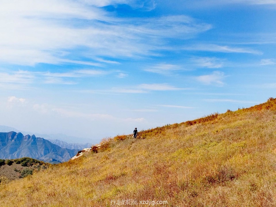 mmexport1696471902609_edit_174383245622869