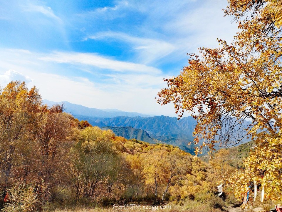 mmexport1696471871060_edit_174401356927554