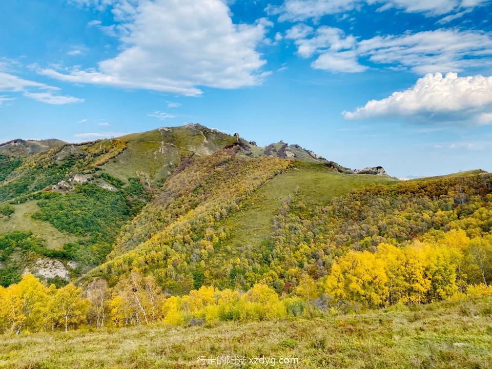 mmexport1696471959842_edit_174359808196831