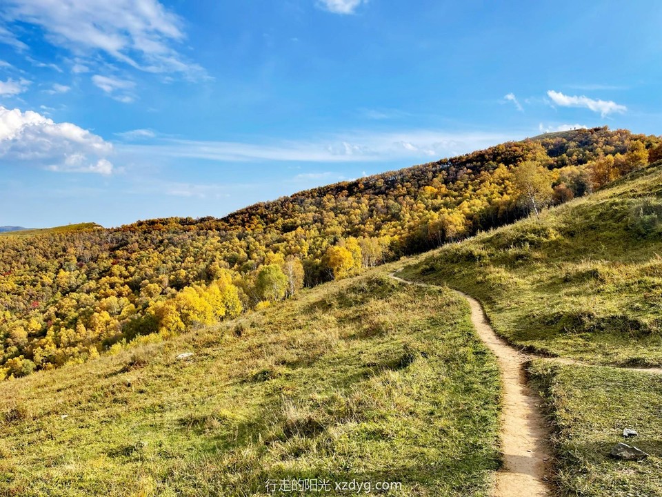 mmexport1696471977961_edit_174351259867666