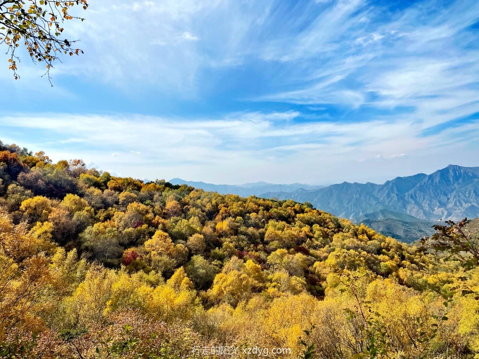 mmexport1696472004397_edit_174340679651522