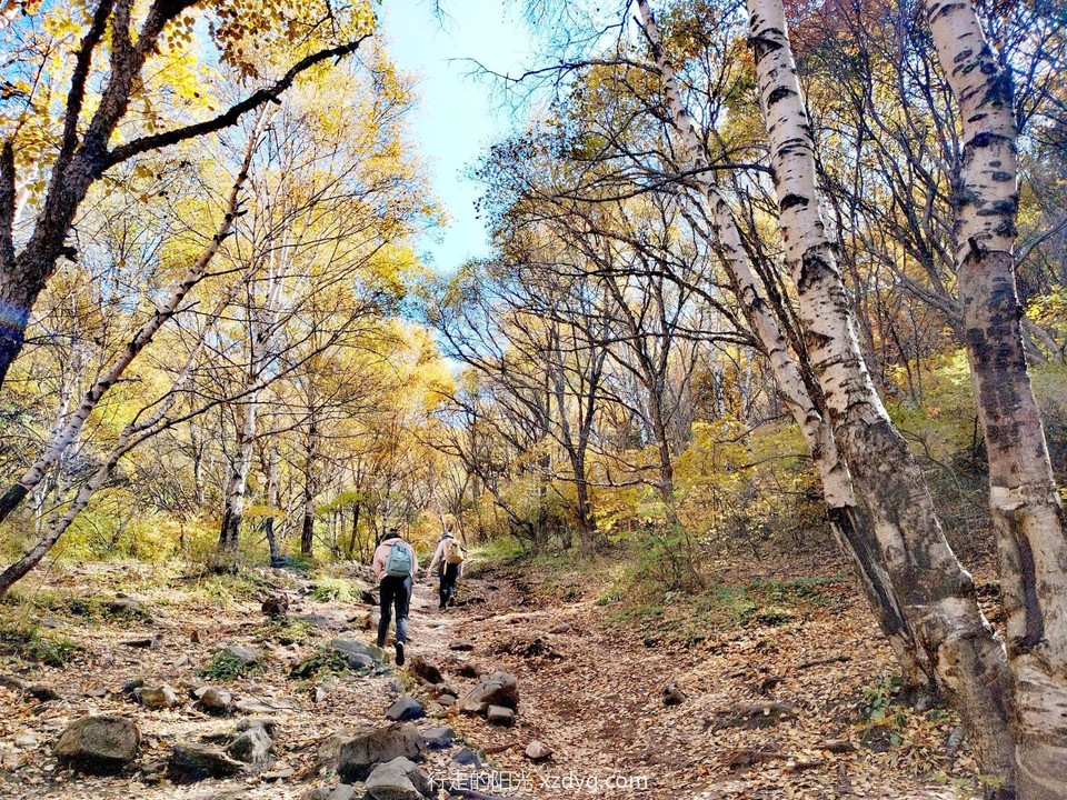 mmexport1696471884492_edit_174392537796826