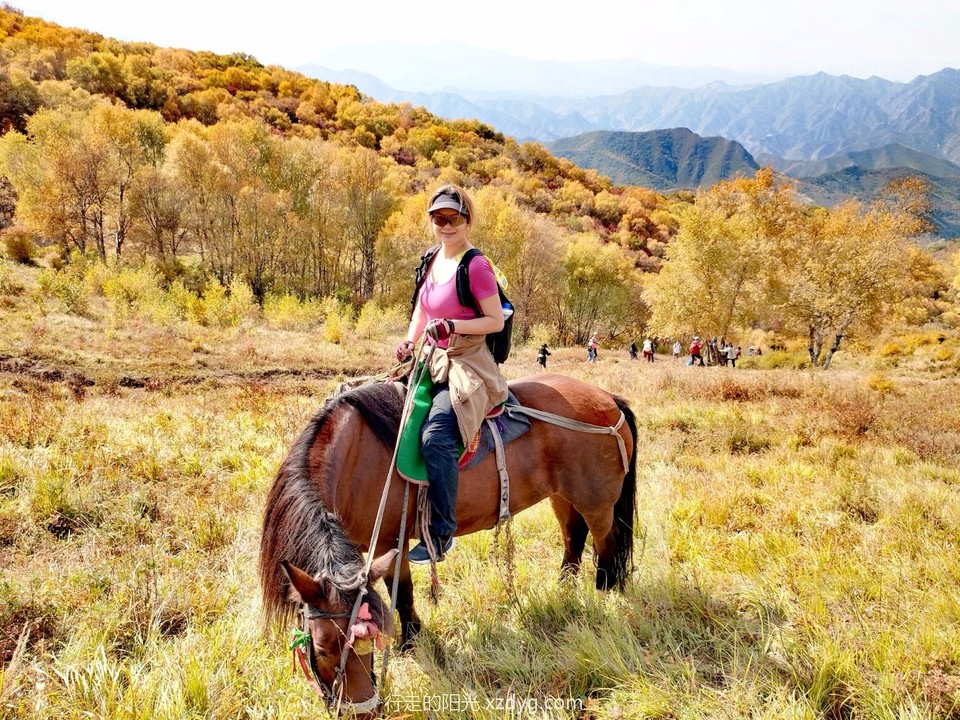 mmexport1696471852575_edit_174413321152032