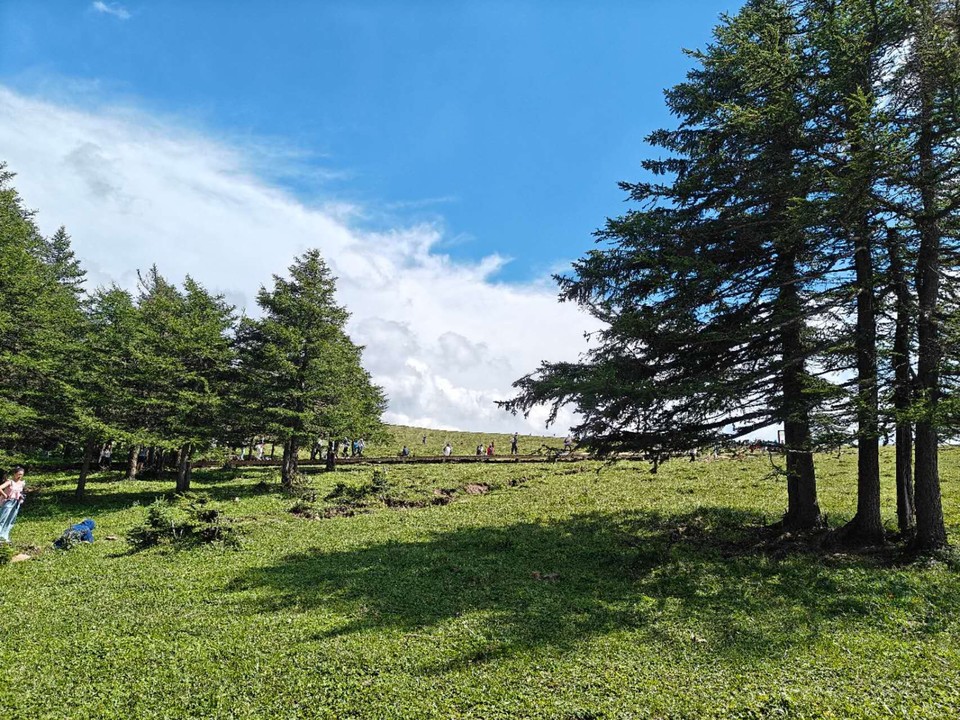 image_1784384962667