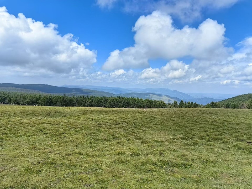 image_1784384037225