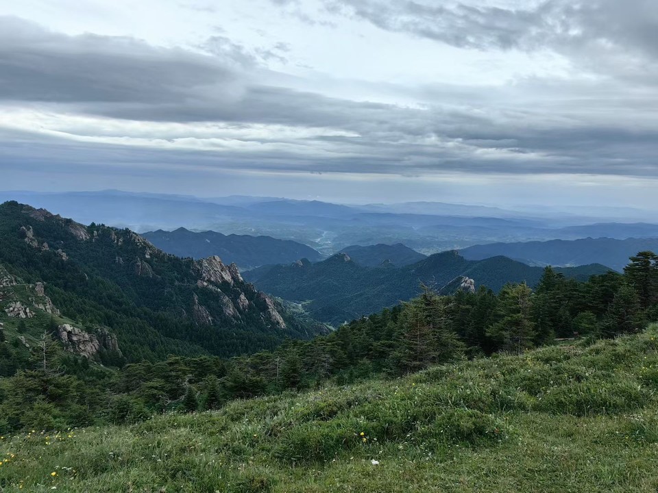 image_1784384031530