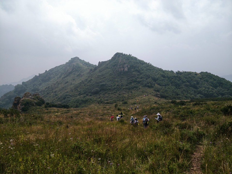 image_1787397066873