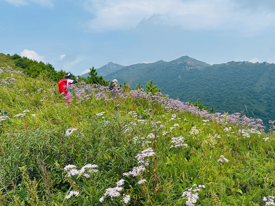 image_1787396755505