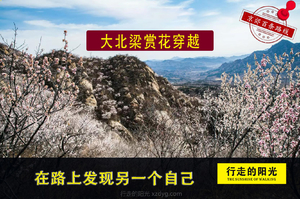 【第1052期·初级强度】（3月28日·周六）大北梁赏花穿越（暖阳大北梁，穿越桃花海）一日路线