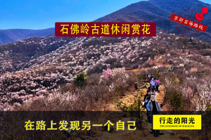 【第1055期·休闲徒步】（3月29日·周日)石佛岭古道穿越（桃花夭夭，休闲赏花）一日路线