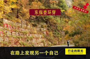 【第1179期·初级强度·已成行】（10月11日·周日）东指壶环穿（群山密林，体验山野乐趣）一日路线