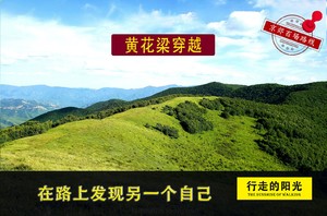 【第1093期·初级强度】（5月16日·周六）黄花梁穿越（黄花梁上秀，草甸映岭柔）一日路线 