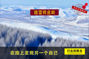 【第1003期·初级强度】（12月20日·周六）踏雪桦皮岭（塞北天路上的草原踏雪，邂逅河北的“阿勒泰）一日路线 