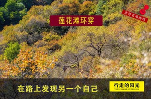 【第1187期·休闲徒步】（10月25日·周日）莲花滩（秋染层林潭似镜，风摇落木影随行）环穿一日路线 