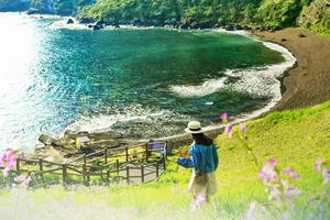 特价1680「济州岛」 10.21/10.28/11.4/11.11秋日漫游济州岛，沉醉漫山红叶盛景，徒步登顶汉拿山，漫