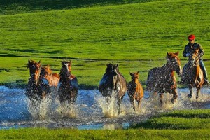 毕业季-1680元「模板」6.6起-多期 /策马驰骋乌兰布统，越野皇家猎场，赴一场金山岭长城山河盛景