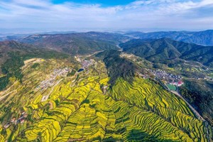 特价88-非周末「梯田花开」03.19千年梯田 岭南油菜花开 攀覆卮山冰川大石浪，还有桃花林