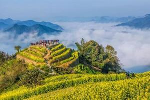 特价88「皖南春色」3.22带你一起来“扫黄”丨歙（shè）县——石潭当油菜花遇到桃花盛开