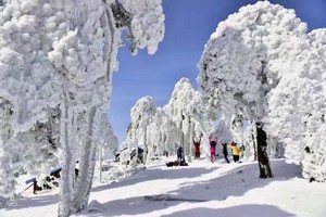 大降温「冬日美景」12.14徒步百丈岭赏雪景，冰封云顶湖奇观（提供冰爪）