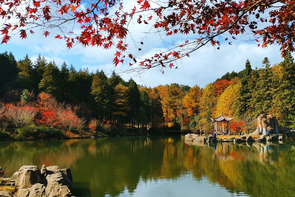「秋染四明山」11.13徒步十字裤仰天湖环线，见多彩秋色，踏松针落叶