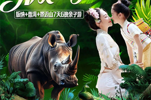 「奇趣版纳」7.4起-多期/深入热带雨林邂逅野象，栖居小熊猫庄园，踏古寨听乐，揽景迈千年非遗风华