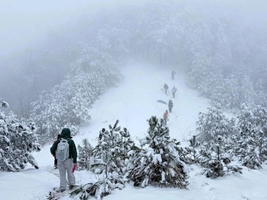 「赏雪秘境」2.1临安经典小众冰雪线，极致视觉盛宴