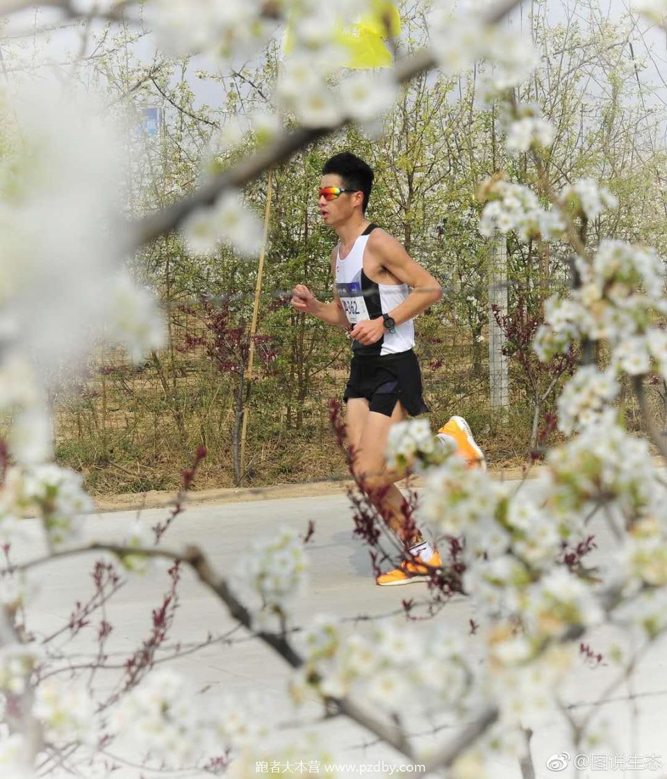 微信图片_20190405085806