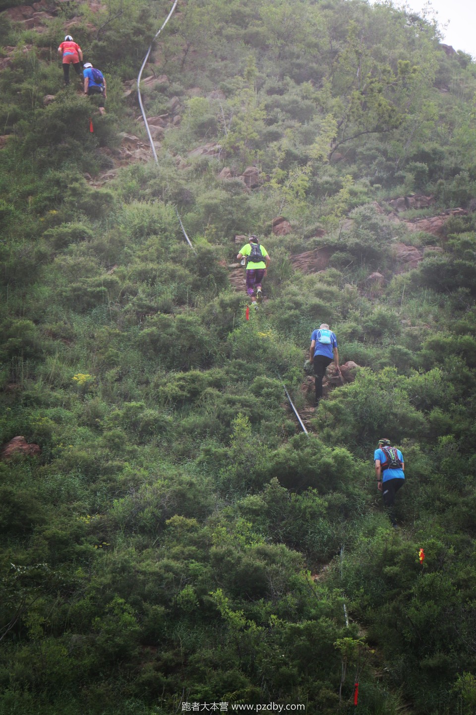 微信图片_20200801193000