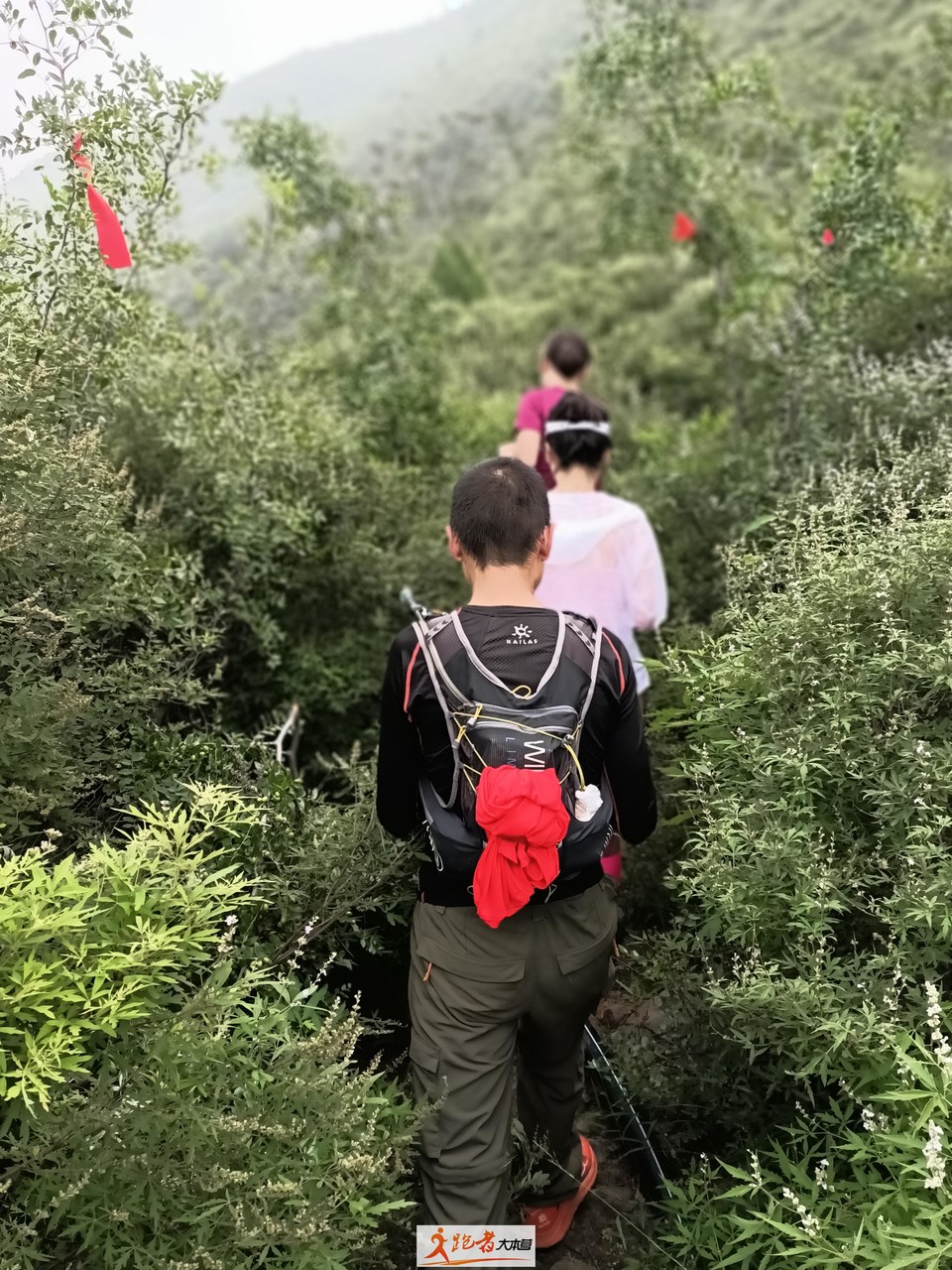 微信图片_20200801203822