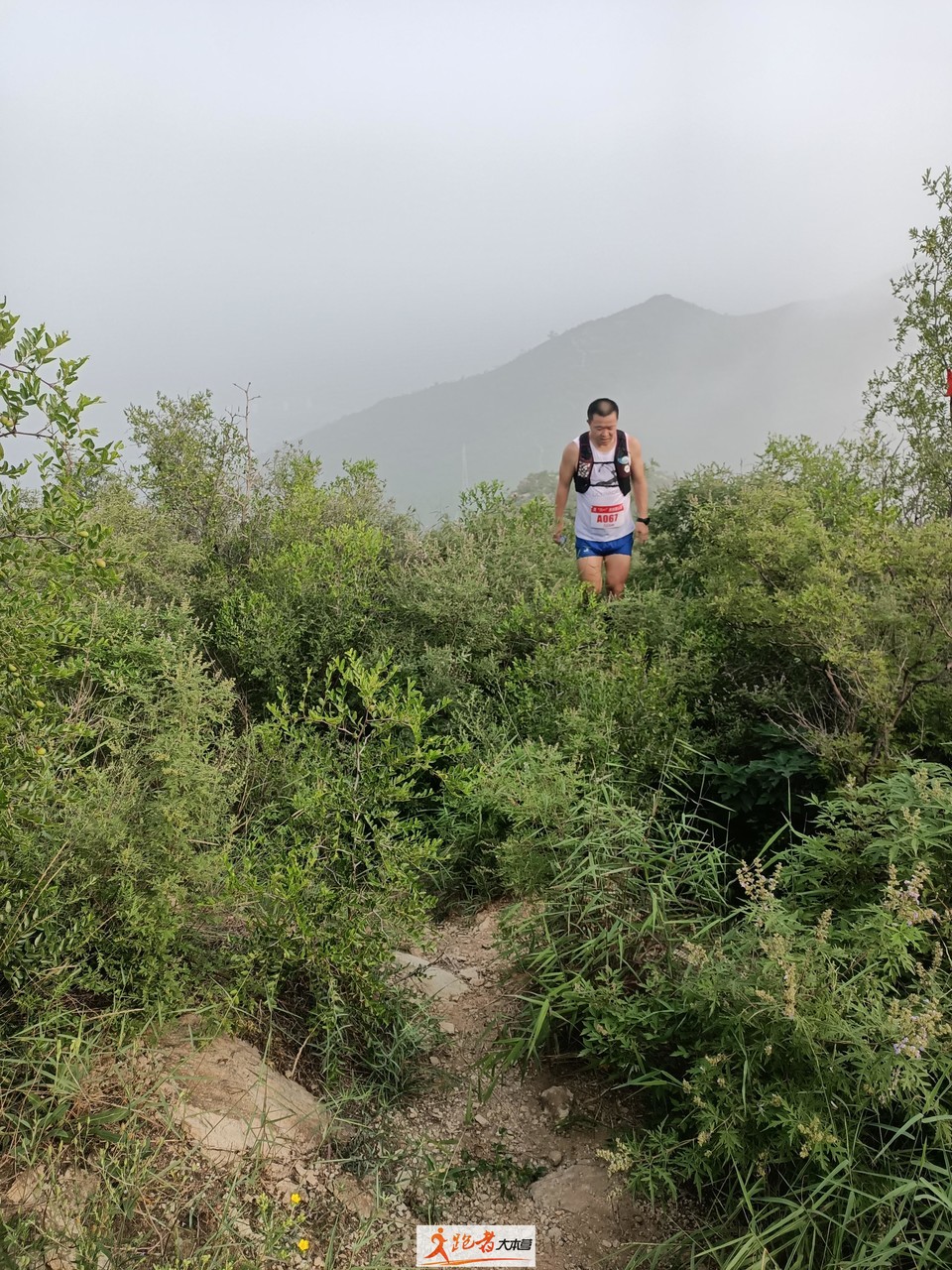 微信图片_20200801205044