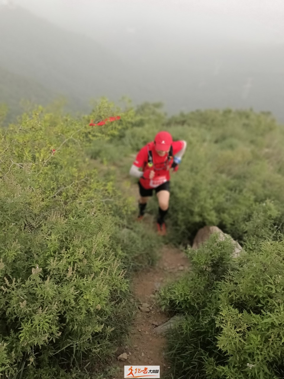 微信图片_20200801205230