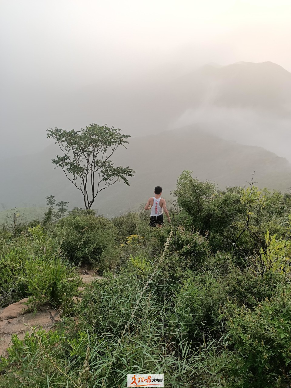 微信图片_20200801205645