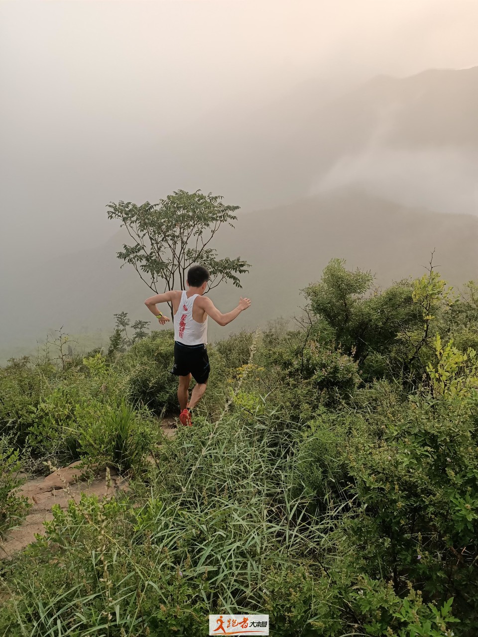 微信图片_20200801205650