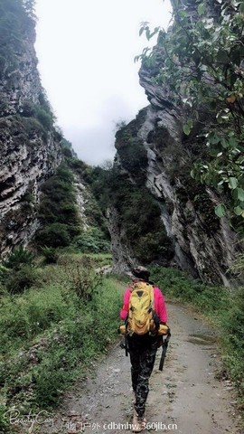 mmexport1536919005868