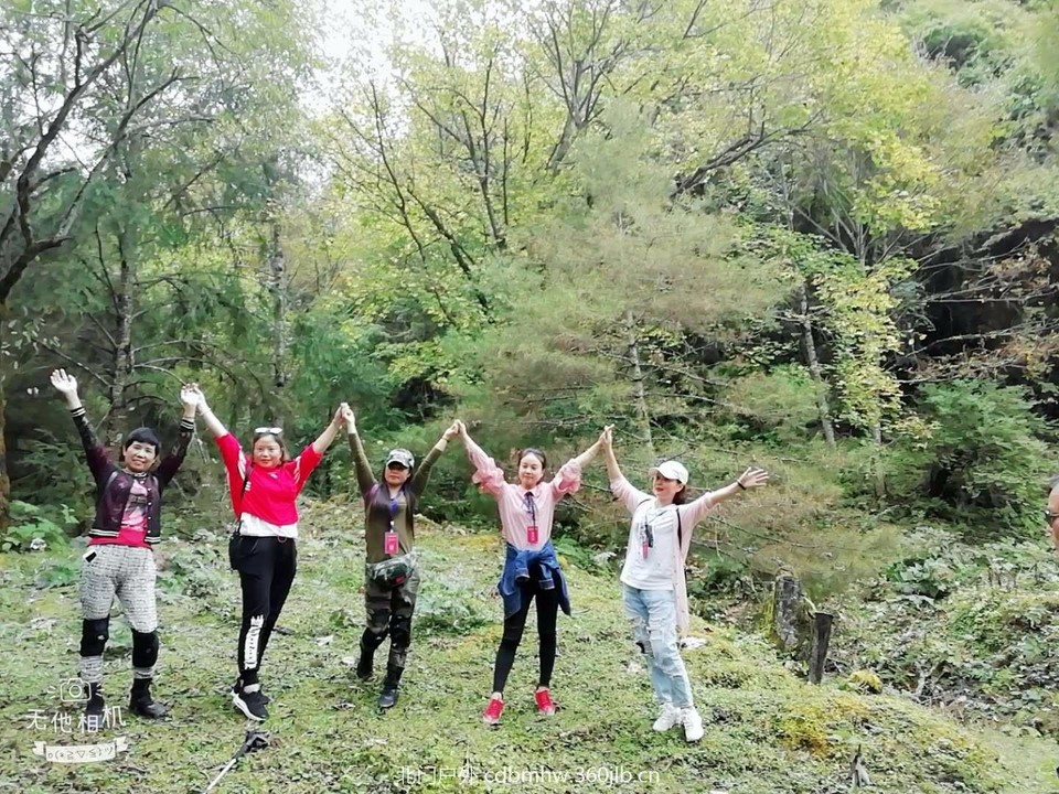 mmexport1537958098335