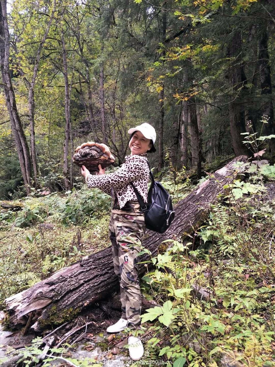 mmexport1537957880035