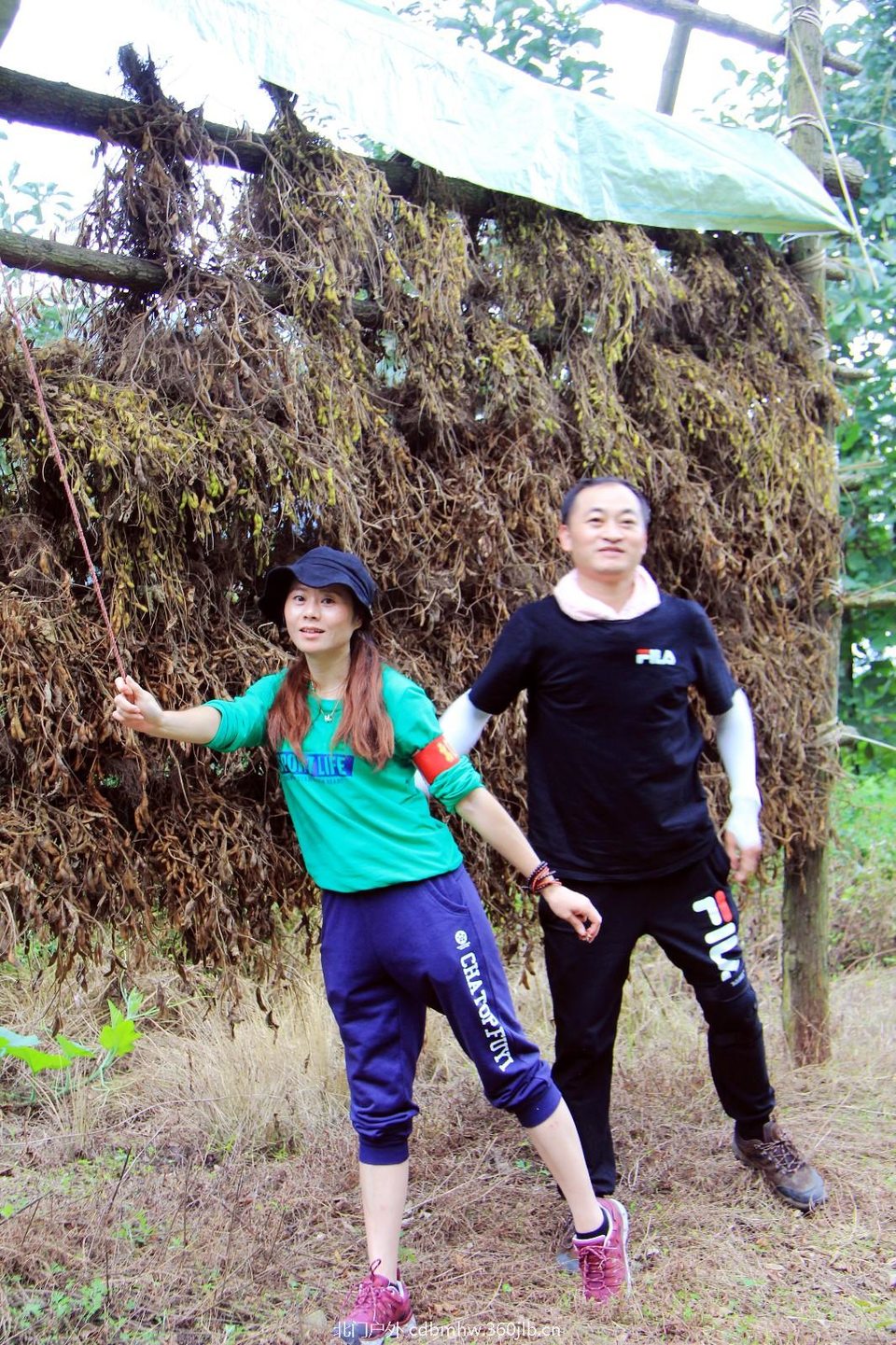 mmexport1538264450224