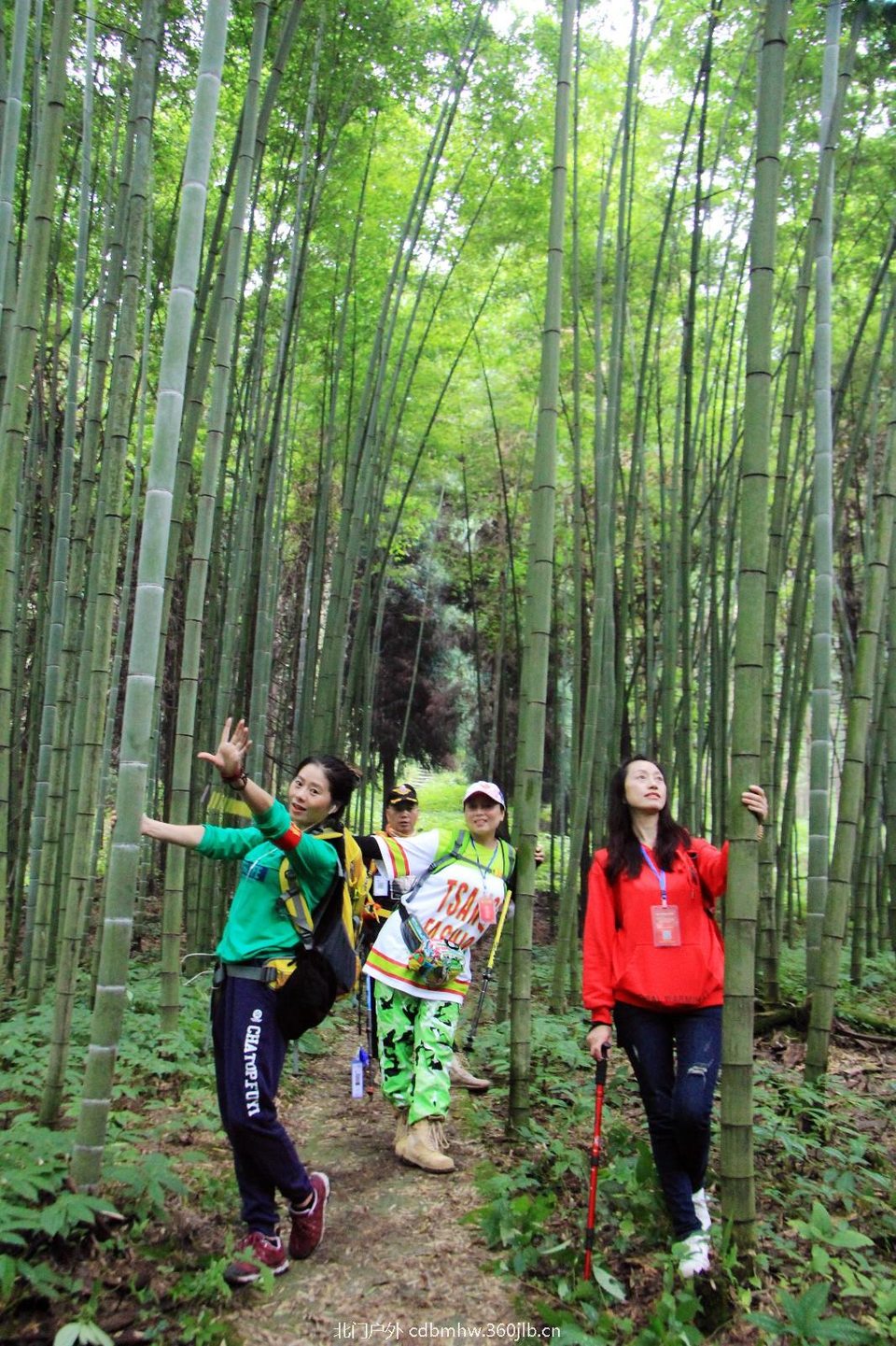 mmexport1538264219306