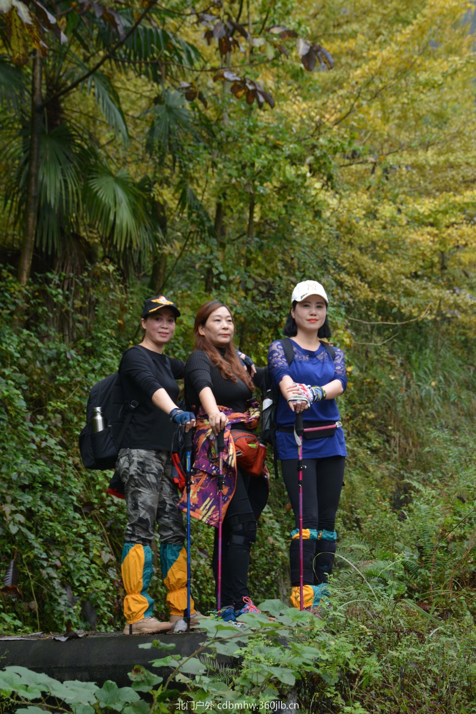 微信图片_20181022104254