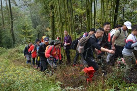 微信图片_20181022104313